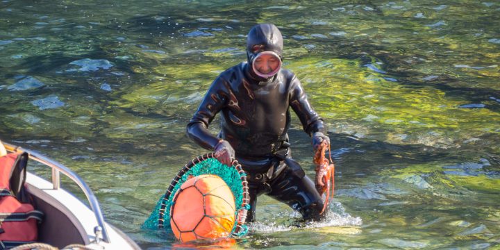 Jeju Island, South Korea - October 15, 2018: Haenyeo Women Diver Show to collect seaweed, shellfish and other seafood at Seongsan Ilchulbong.