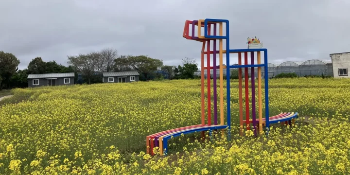 Olleh Gamse Statue in Rapeseed Field