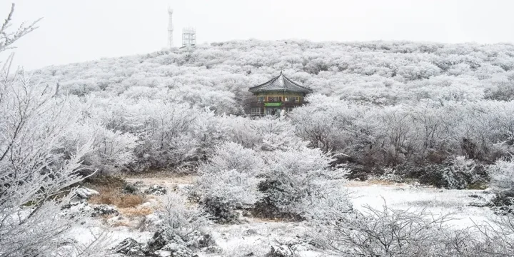 snow on oreum